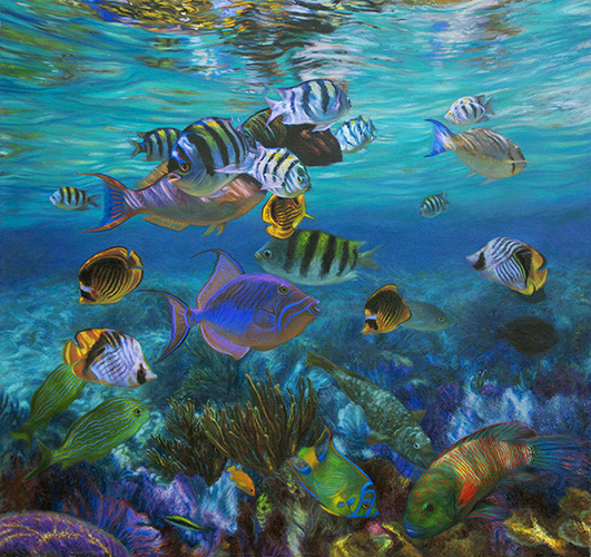 Reef Fish