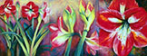 Amaryllis Triptych