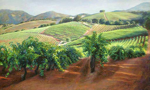 Morning Vineyard
