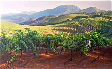 Sonoma Vineyard